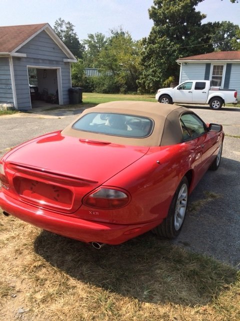 7107 897ef020e8 low res