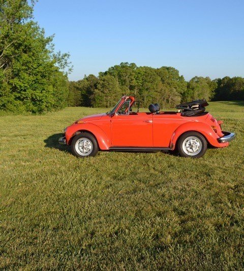 2486 e4892bcc36 low res