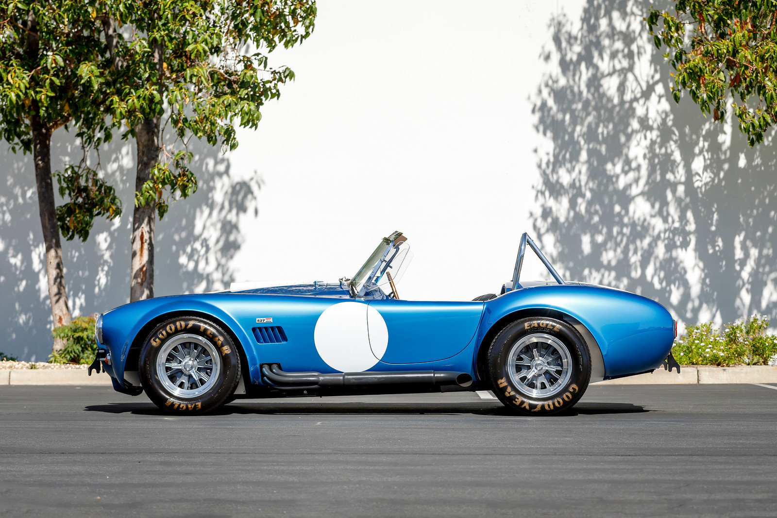 Shelby Cobra Hillbank Motor Sports