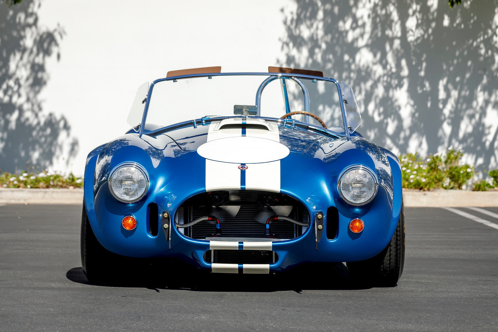Shelby Cobra Hillbank Motor Sports