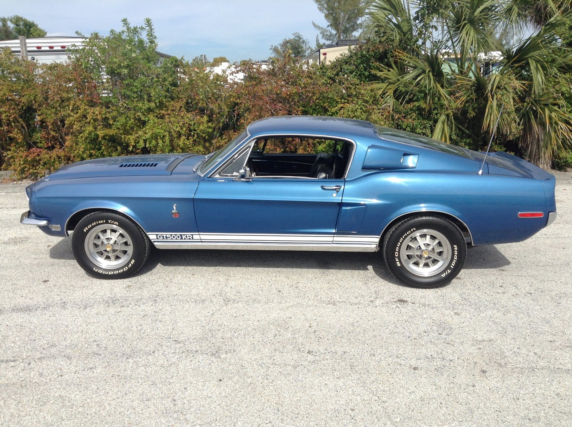 47207bc91794 hd 1968 shelby gt500 kr fastback