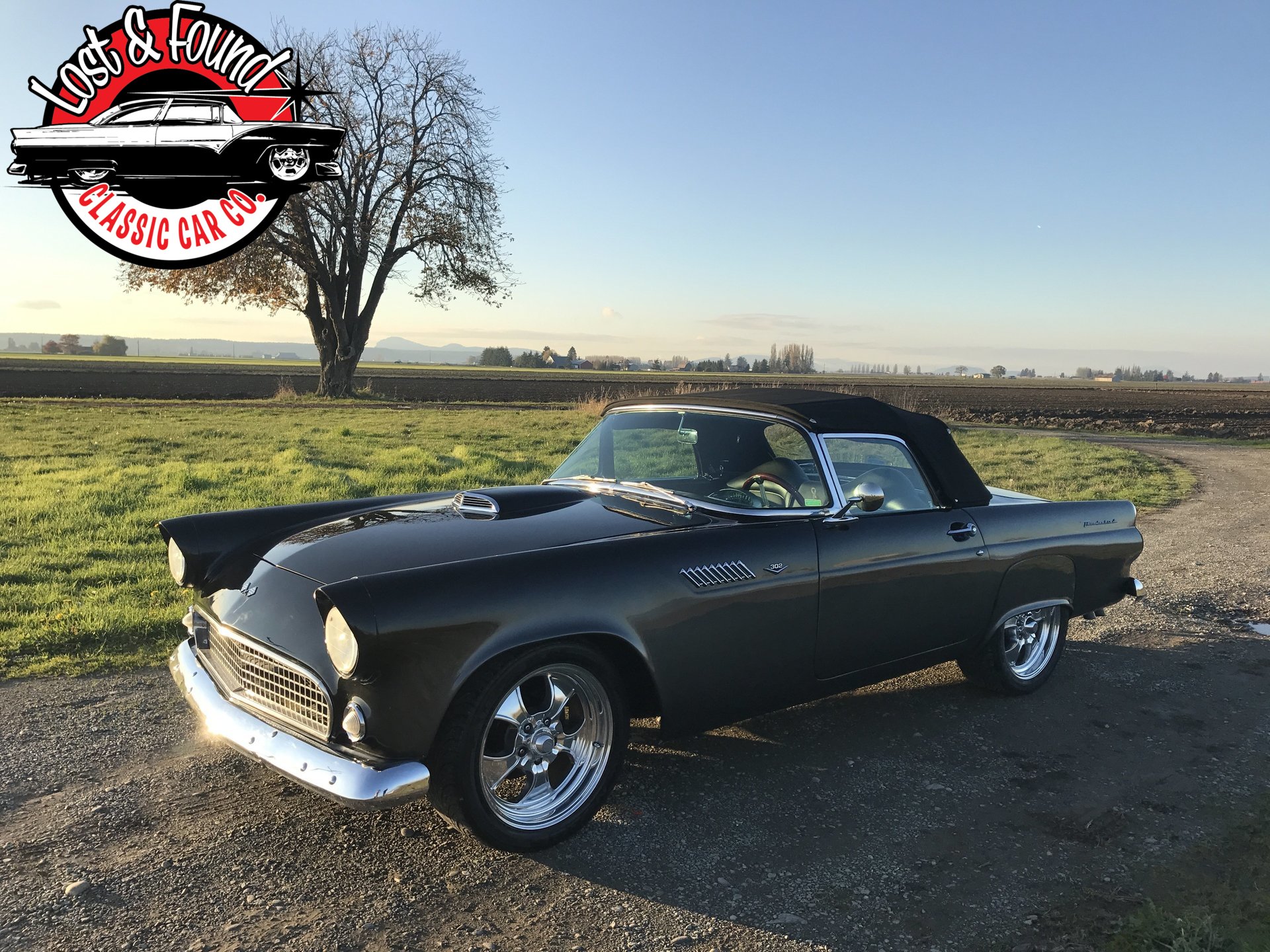 3281bae90ed6 hd 1955 ford thunderbird