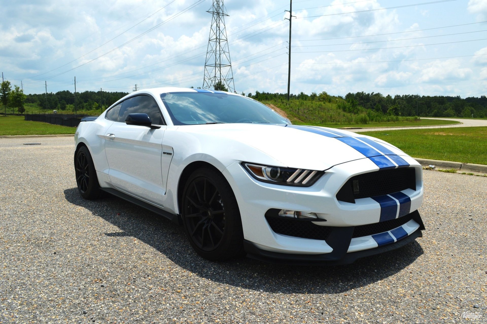 243079245ad8 hd 2017 shelby gt350