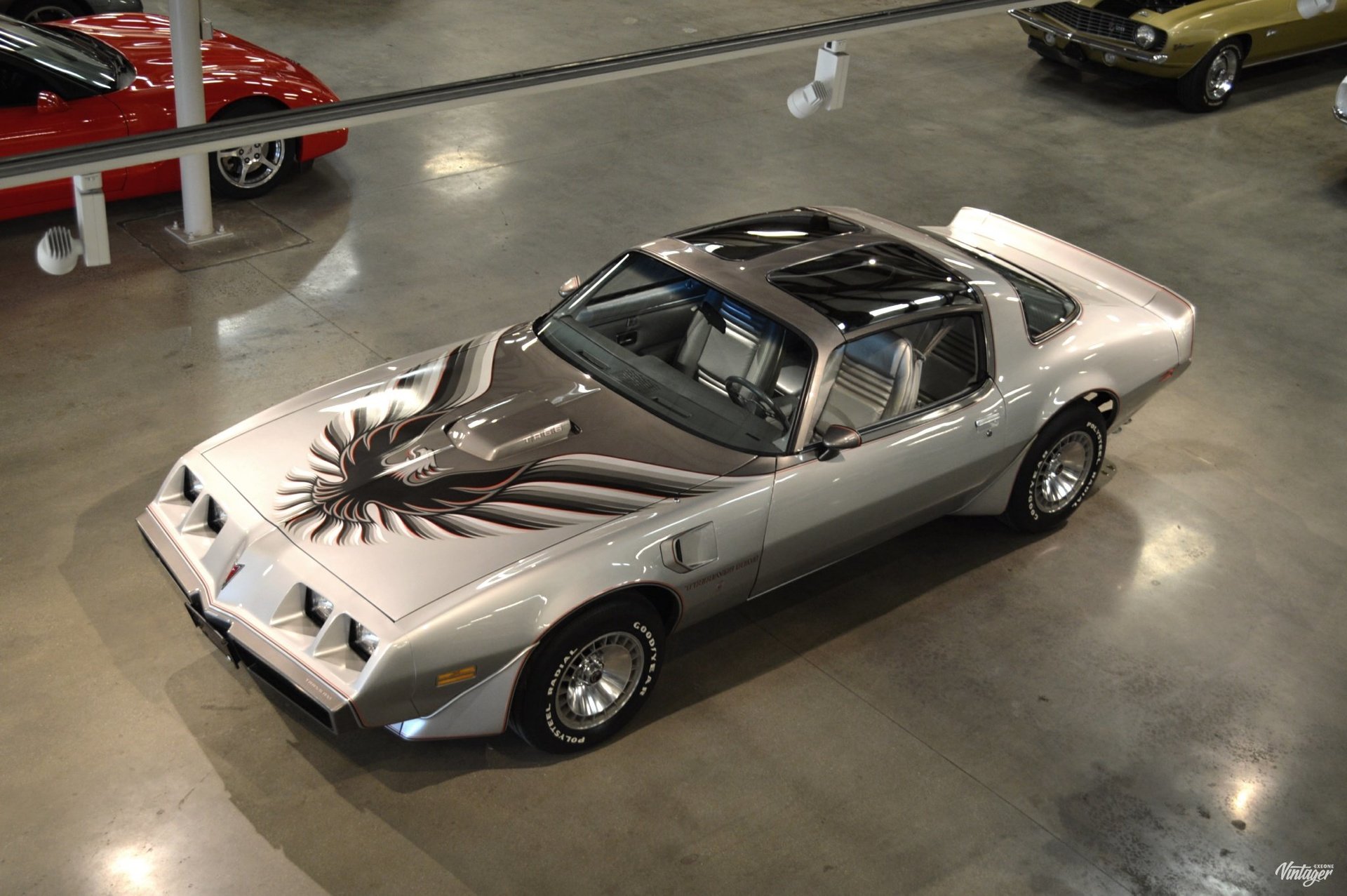 1000b254d625 hd 1979 pontiac transam