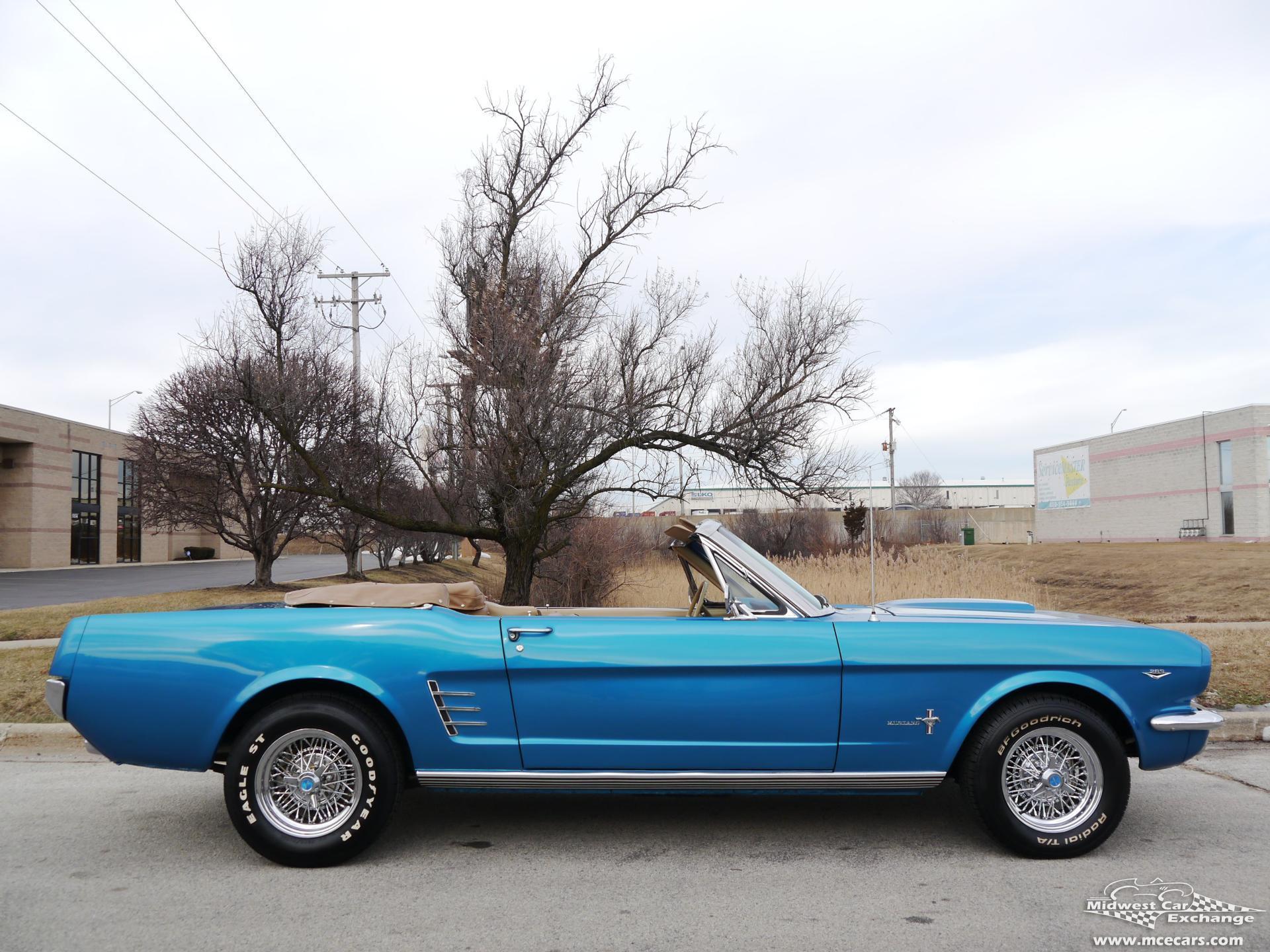 19769 stang201041