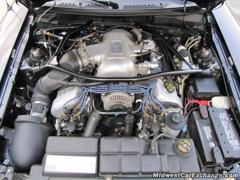 20419 f18b2992b4 low res