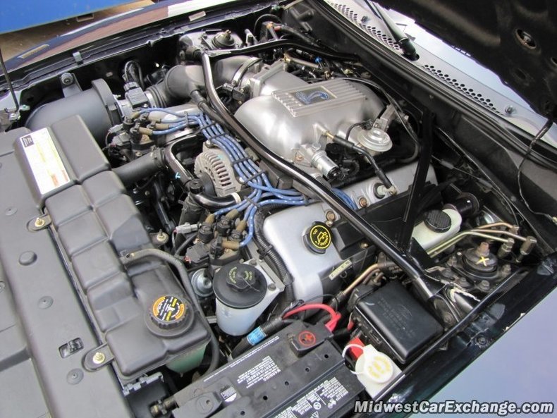 20421 2c489e534a low res