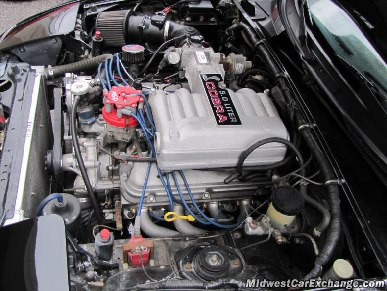 23375 f788dc4828 low res