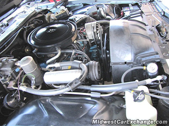 28803 873ea2e0a7 low res