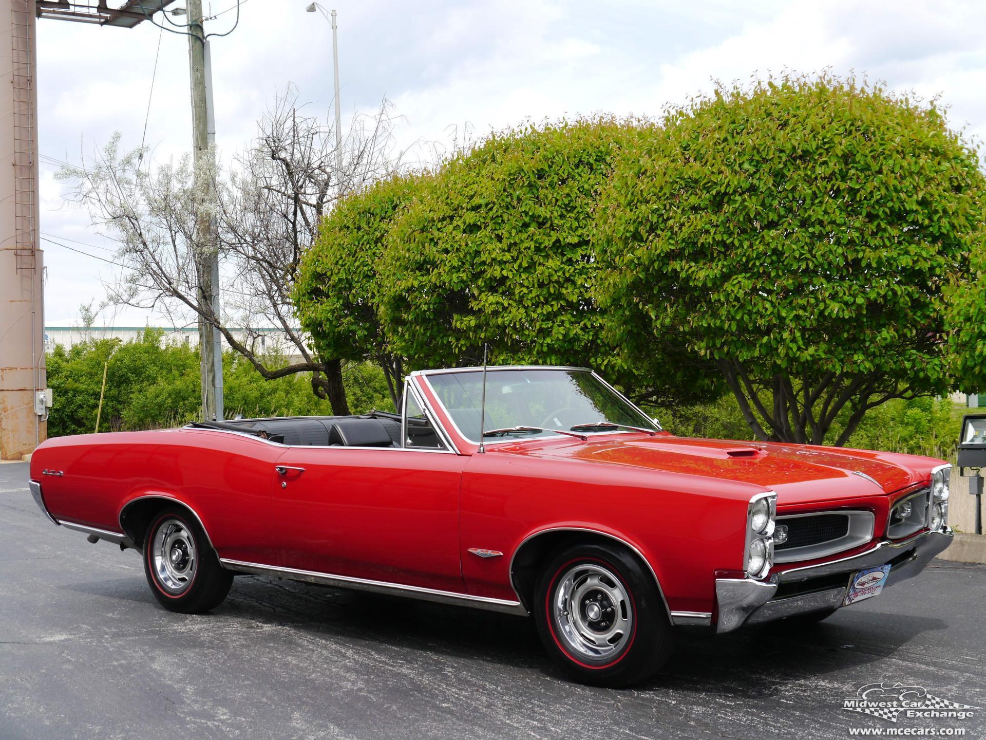 28954 goat20066