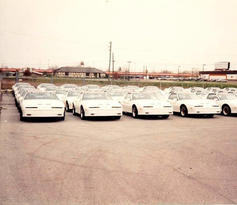 496715fb28601 low res 1989 pontiac trans am pace car 20th anniversary