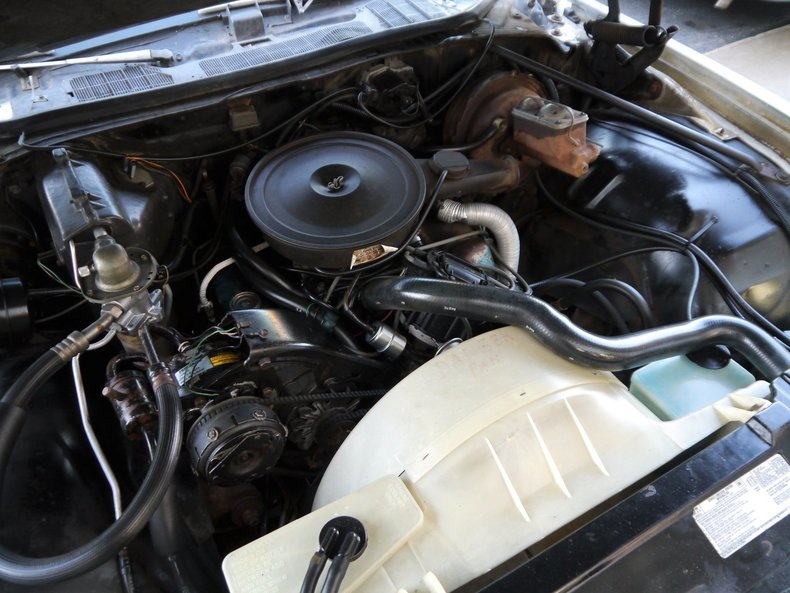 4854692fda284 low res 1975 buick century special