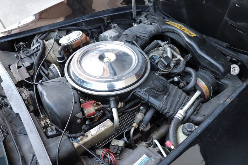 51857e4729edc low res 1981 chevrolet corvette