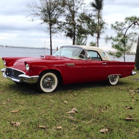 1948 6dd9b92af77fimg 8282