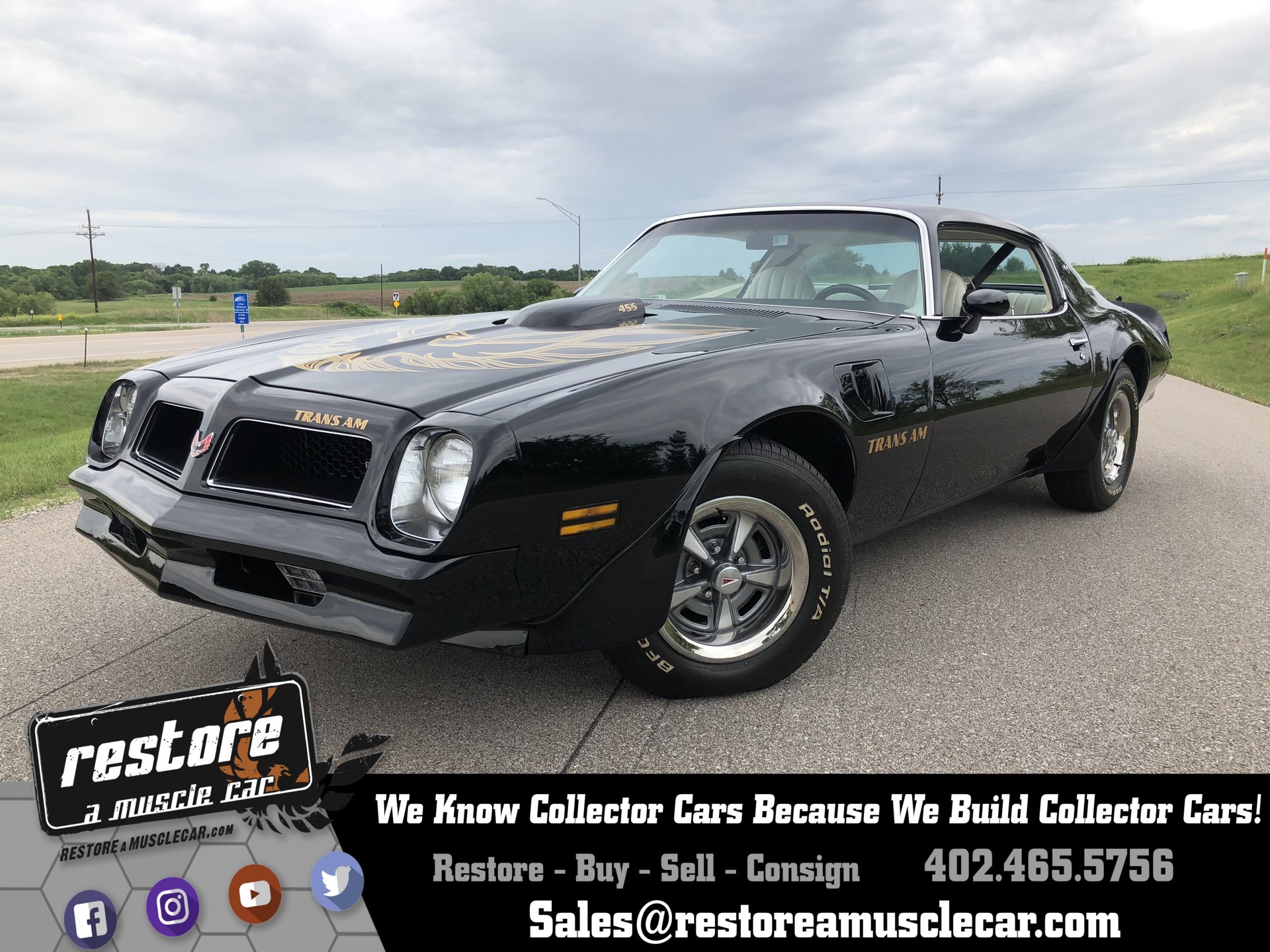 24256c09c5044 hd 1976 pontiac trans am