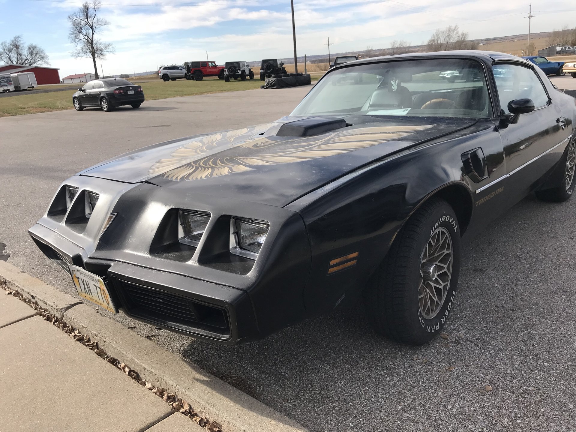 172823f2c0d03 hd 1979 pontiac ta