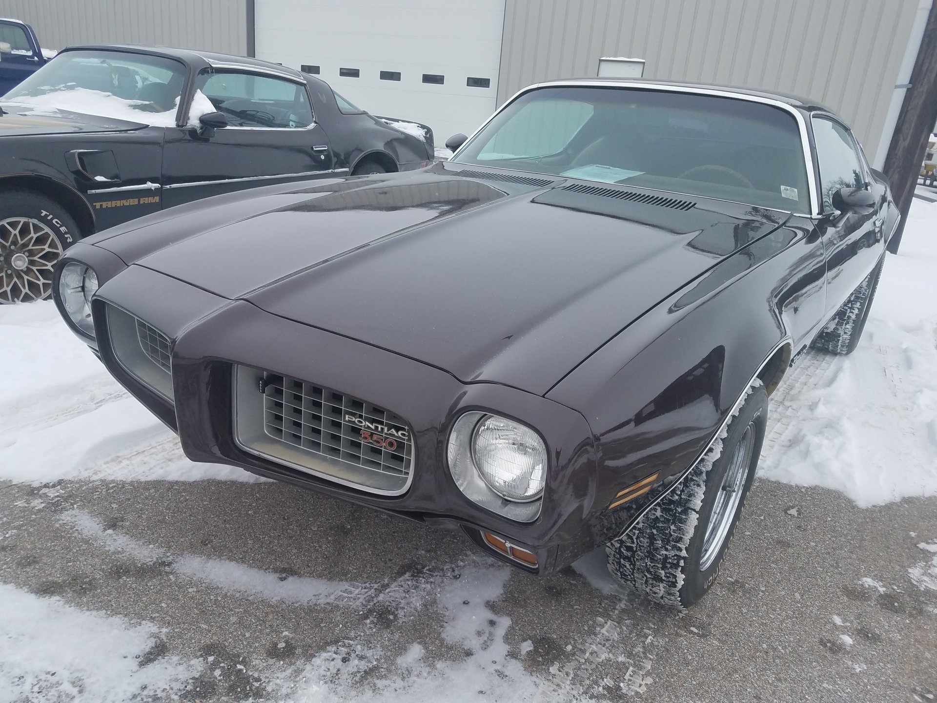 17643b61e7b4e hd 1973 pontiac esprit