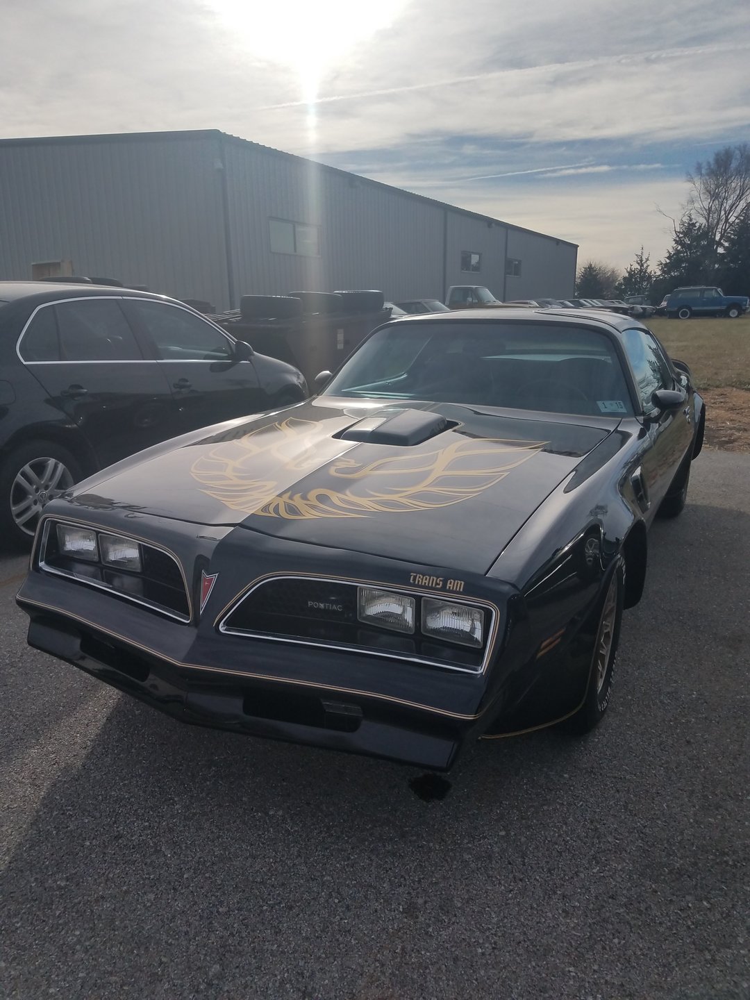 1815489118626 hd 1977 pontiac ta