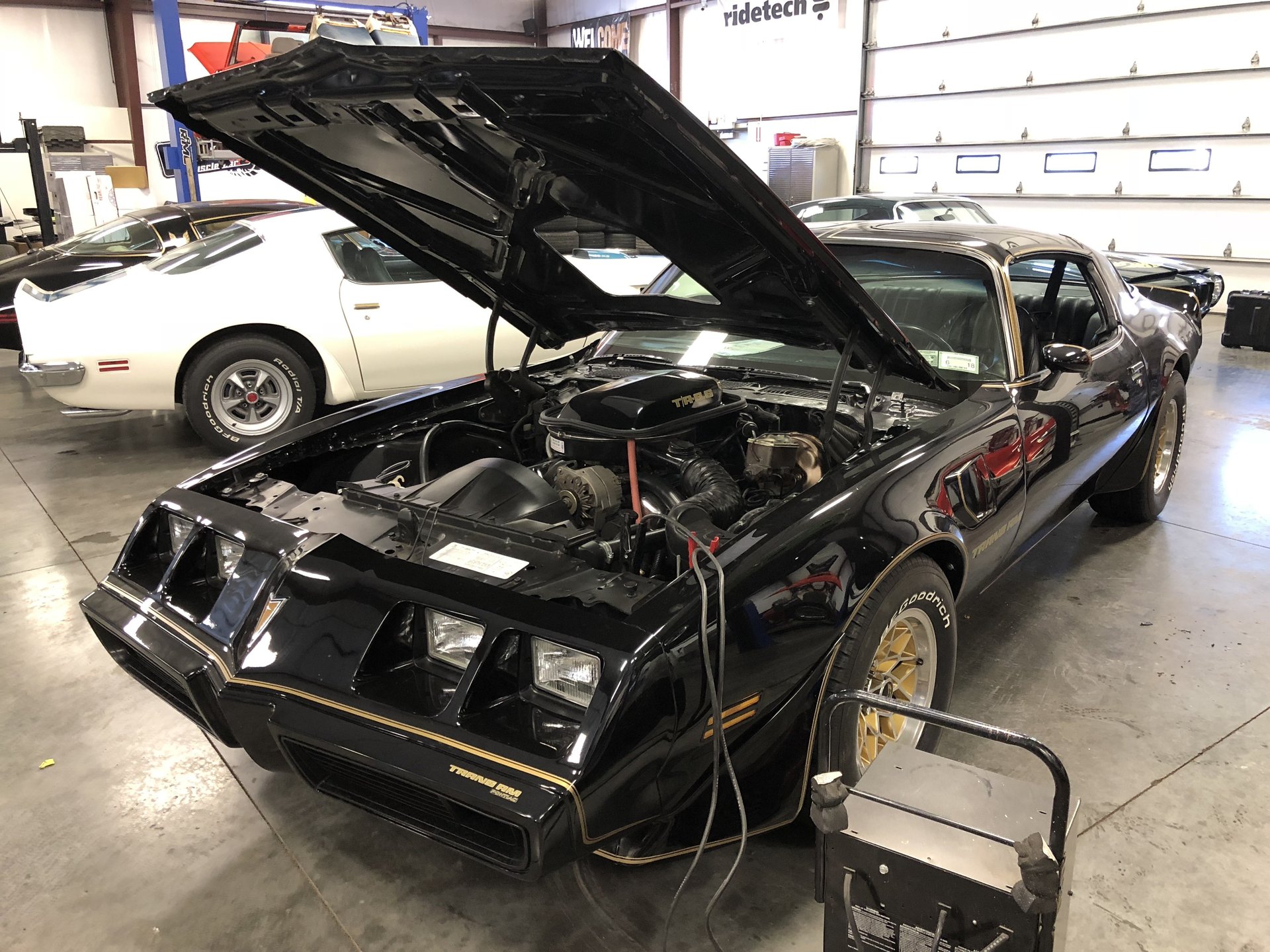 21297918fdcd4 hd 1979 pontiac transam