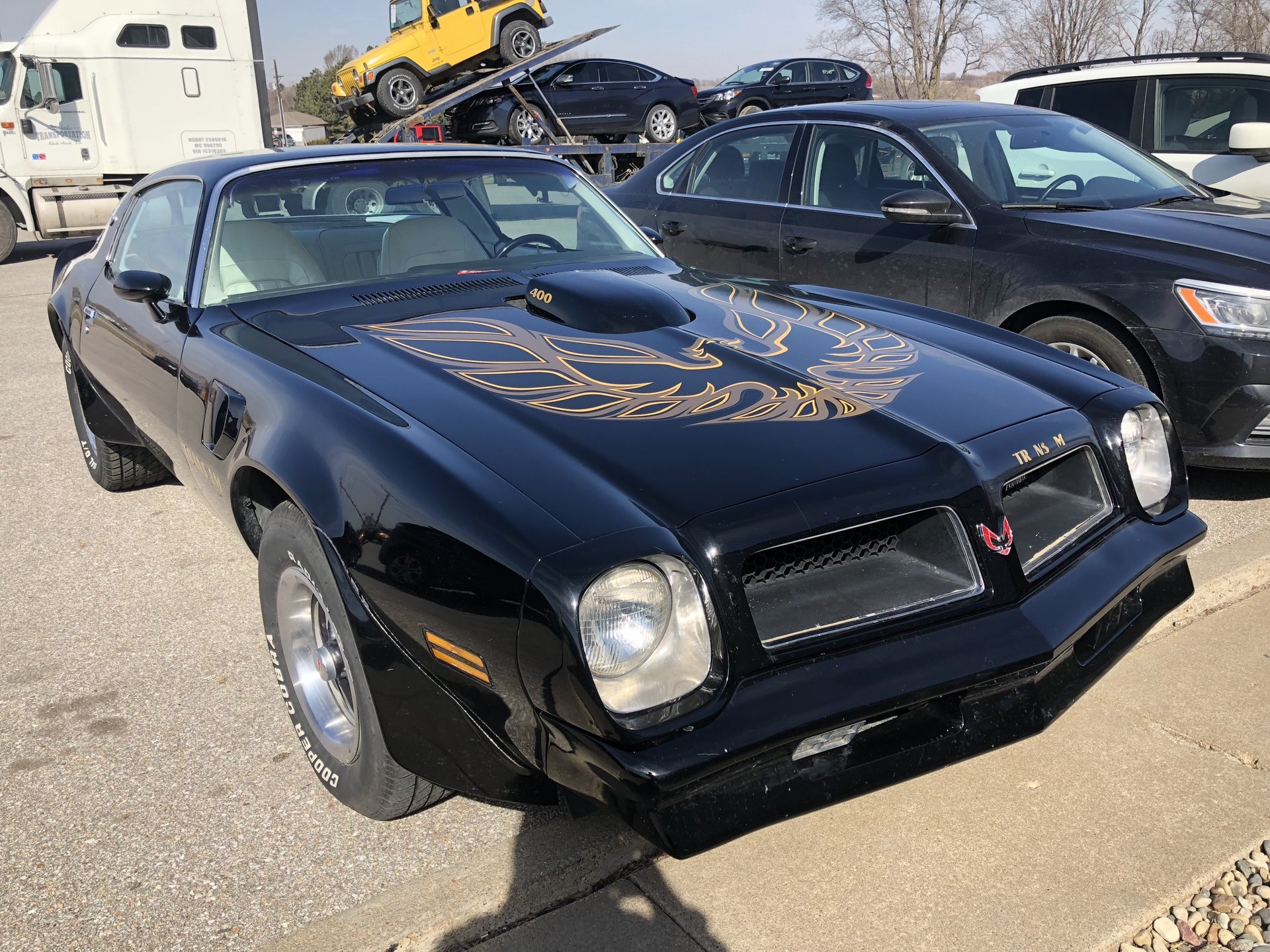 21300bb534beb hd 1976 pontiac trans am