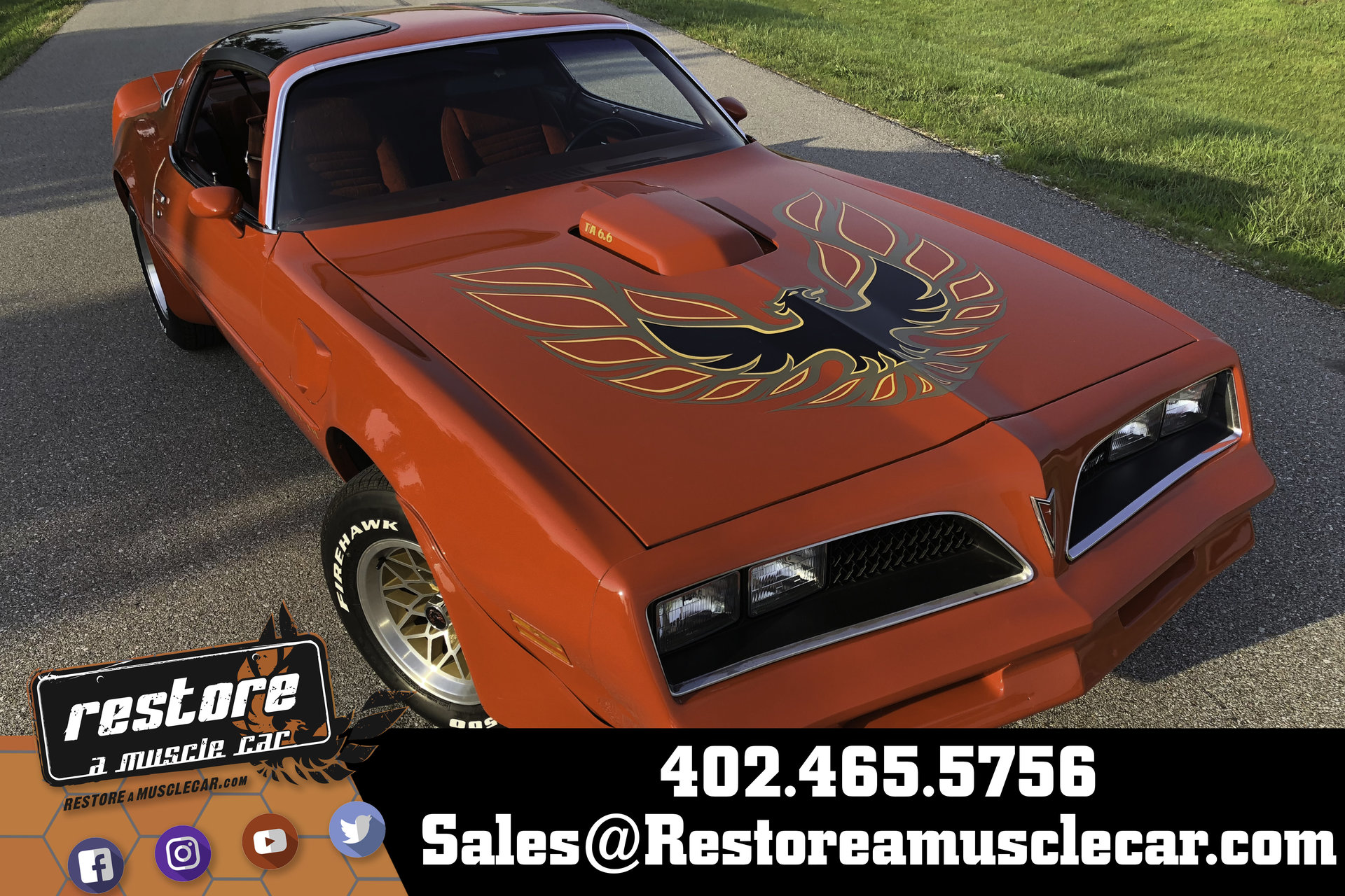 23605321c2640 hd 1978 pontiac trans am