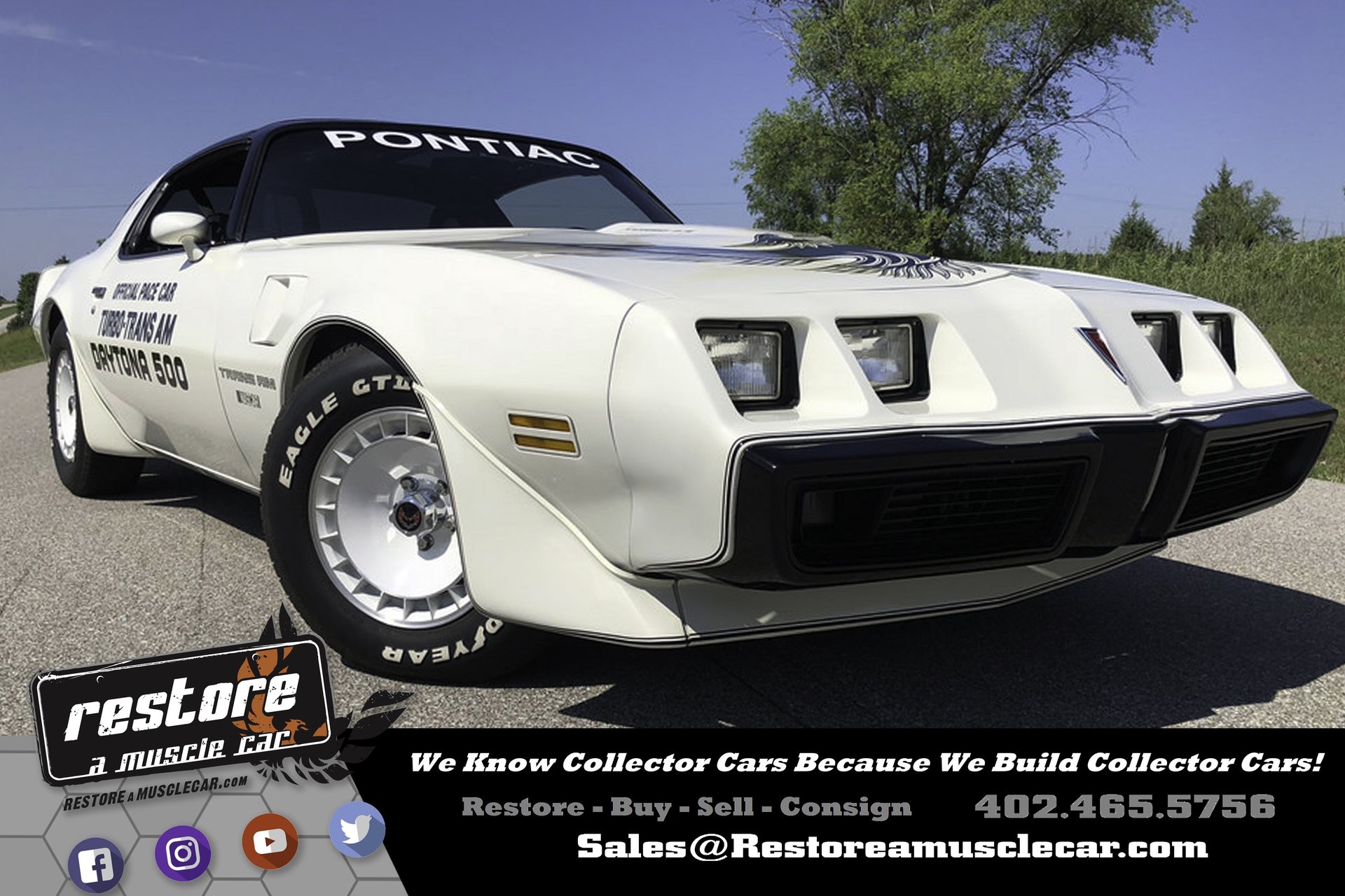 23896953e802c hd 1981 pontiac trans am
