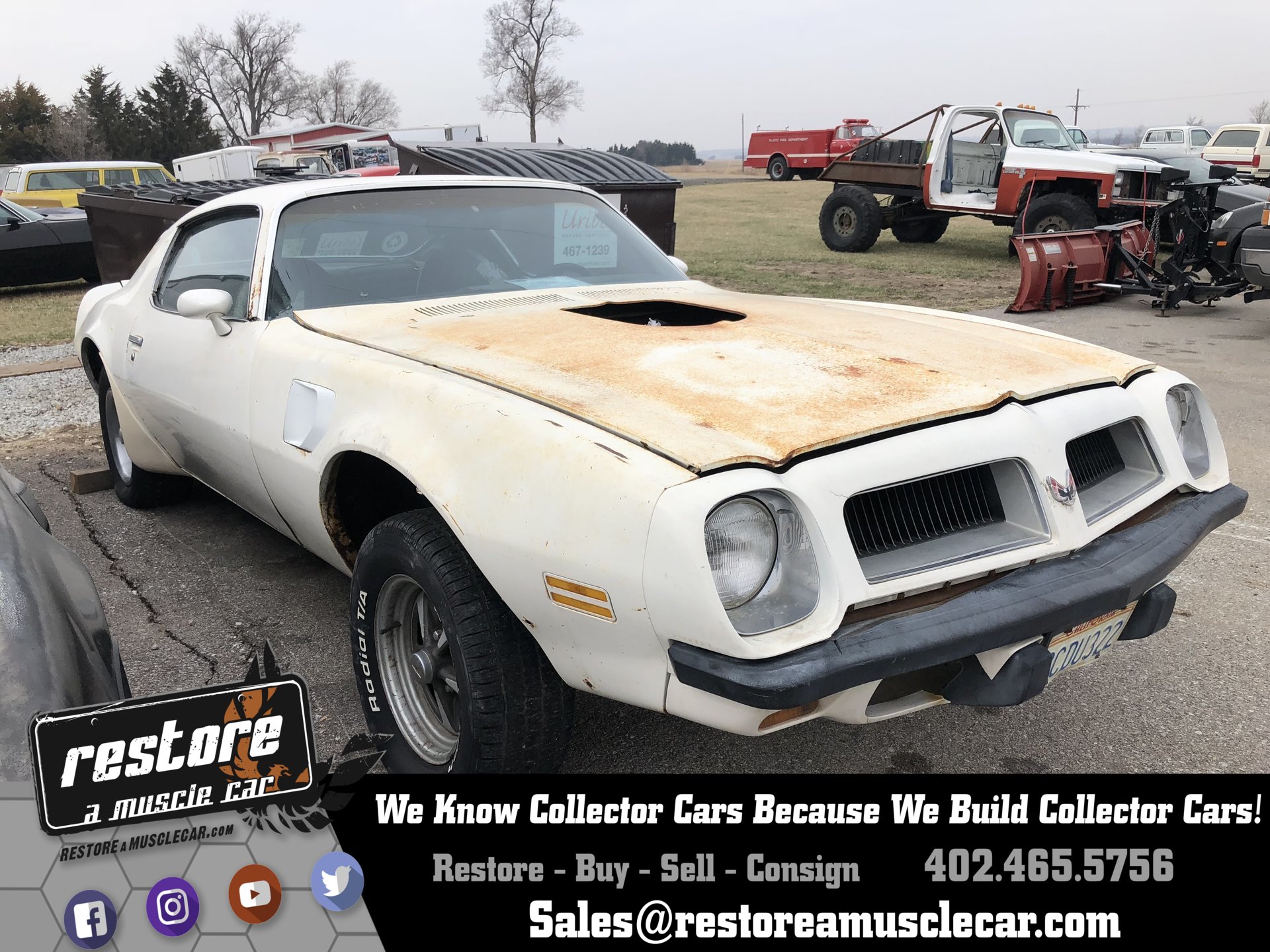 252199b92dff2 hd 1974 pontiac trans am