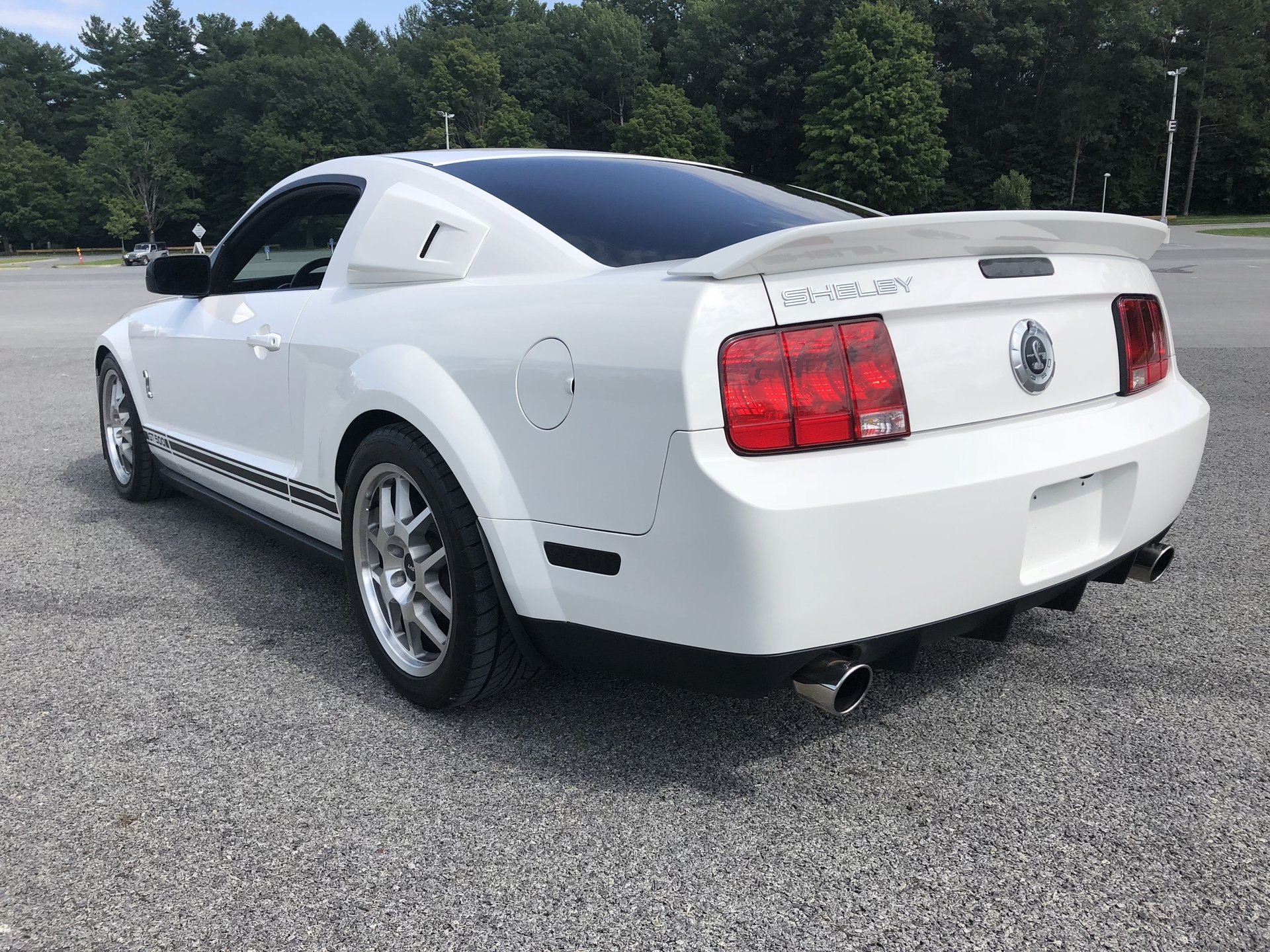 2009 Ford Mustang GT 500 | Saratoga Auto Auction