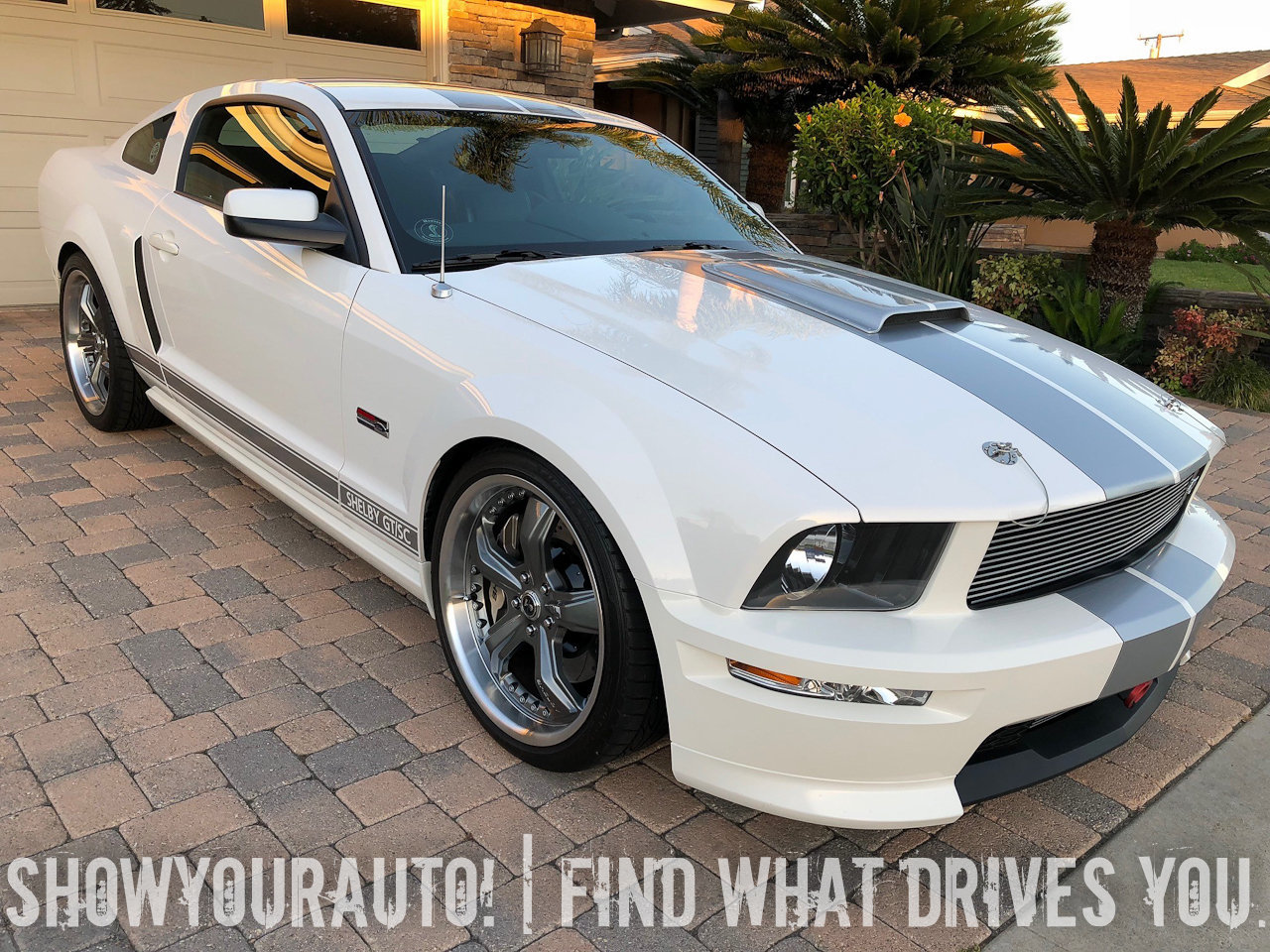 20534305a6345 hd 2007 shelby gt sc