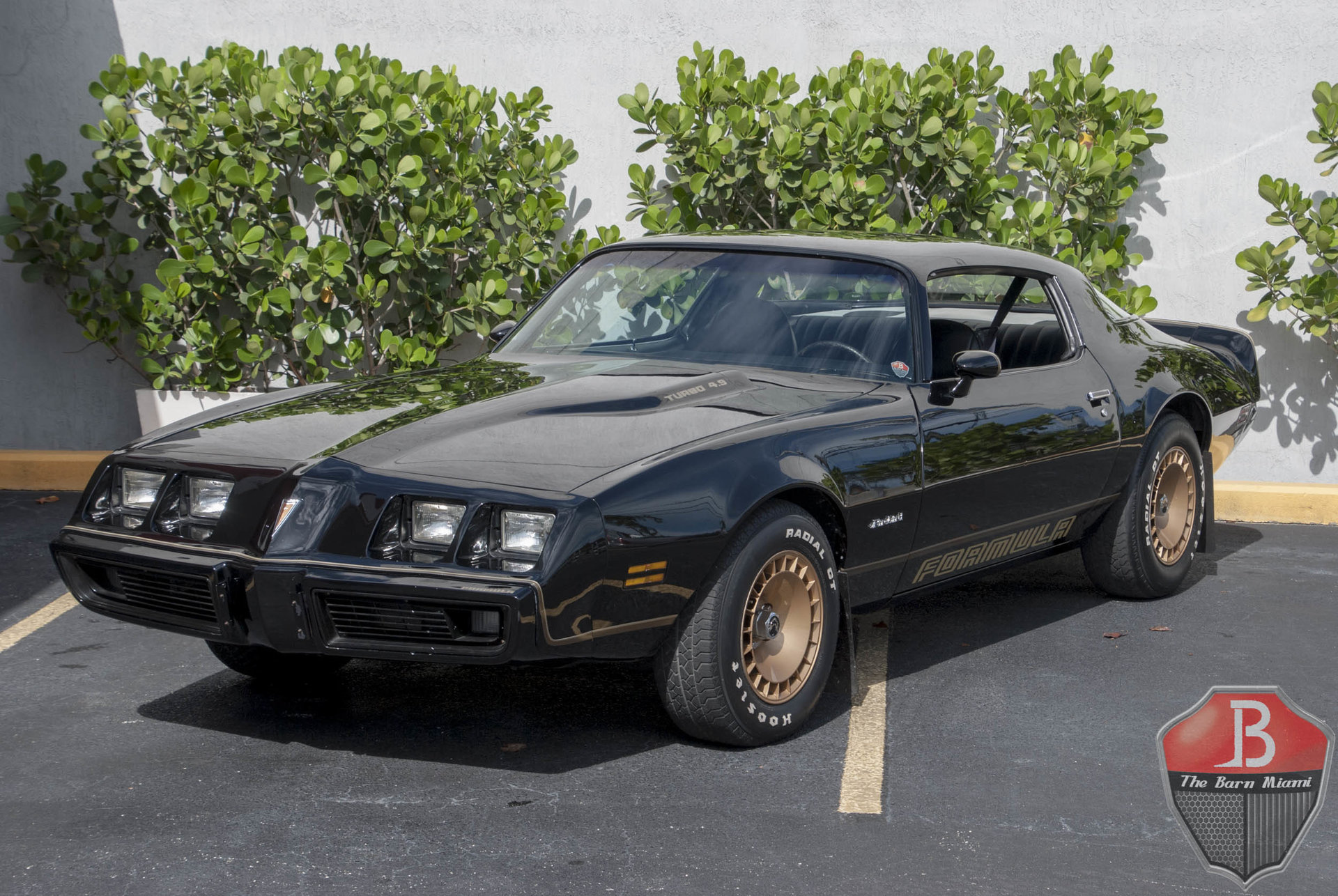 18621b5e98dd2 hd 1980 pontiac firebird