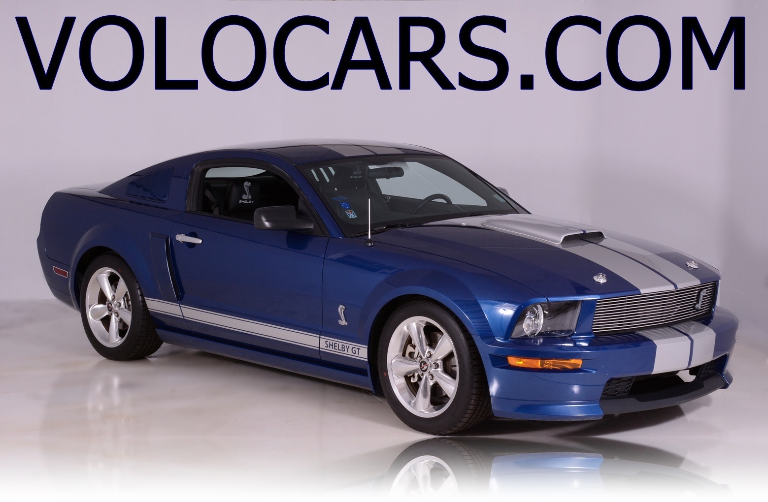 194137 shelby blue stripe000 main