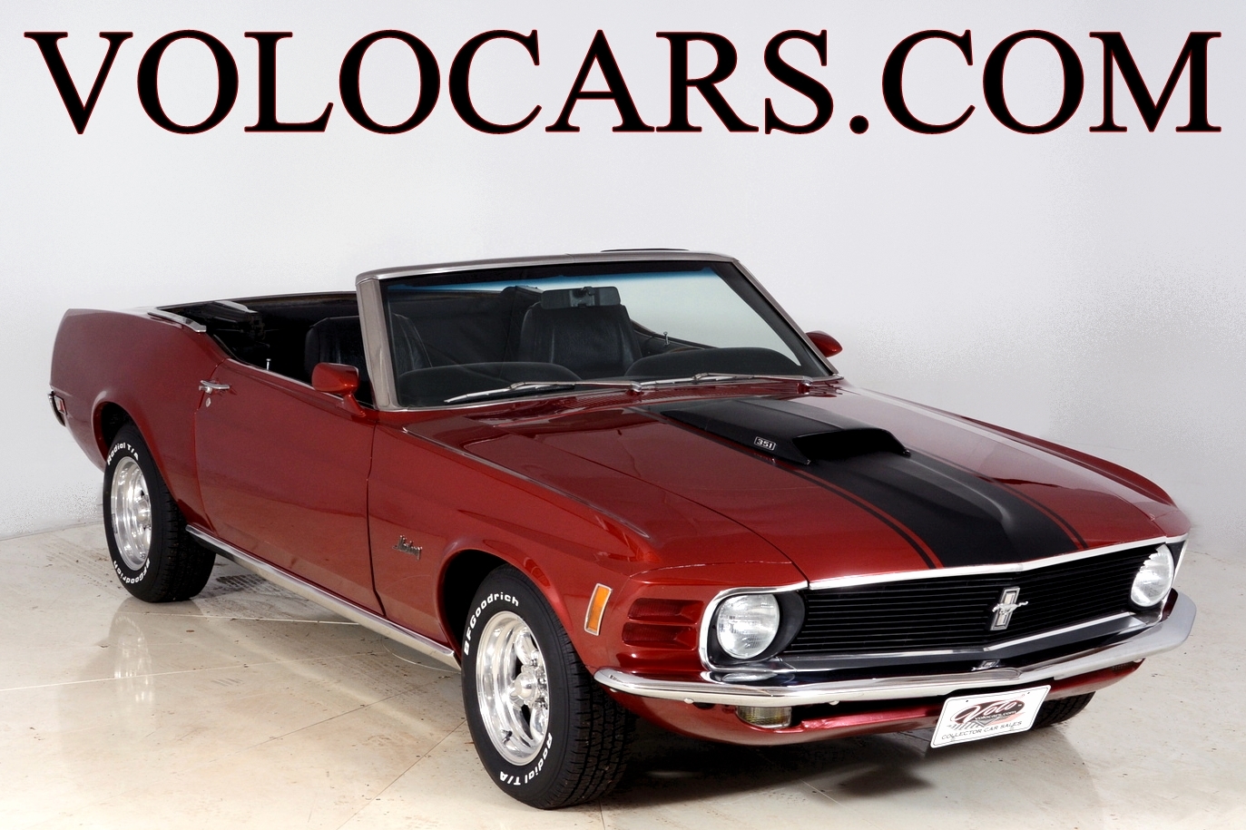 205538 pony