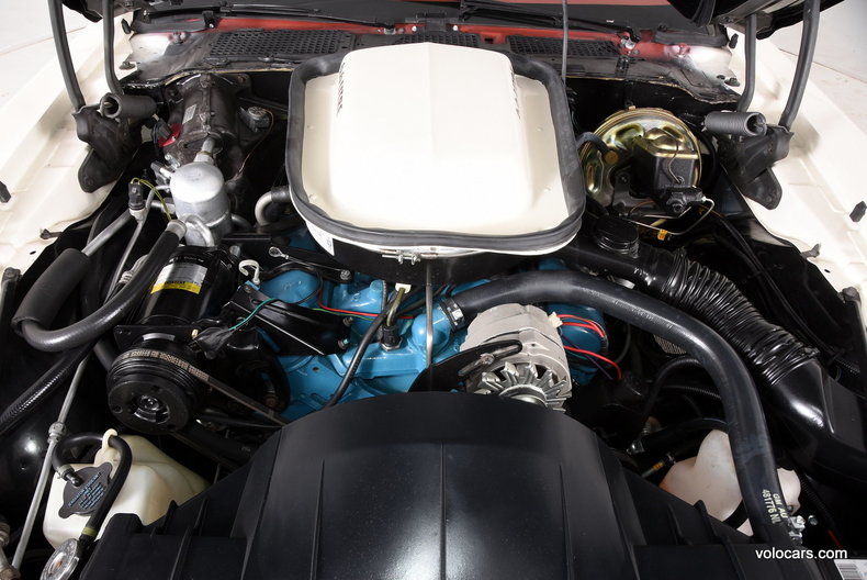 3622059039e4bc low res 1977 pontiac trans am