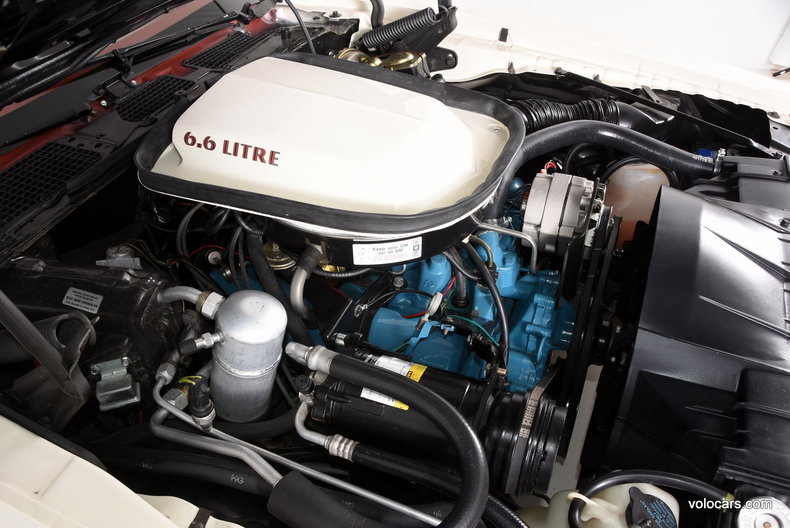 1977 Pontiac Trans Am
