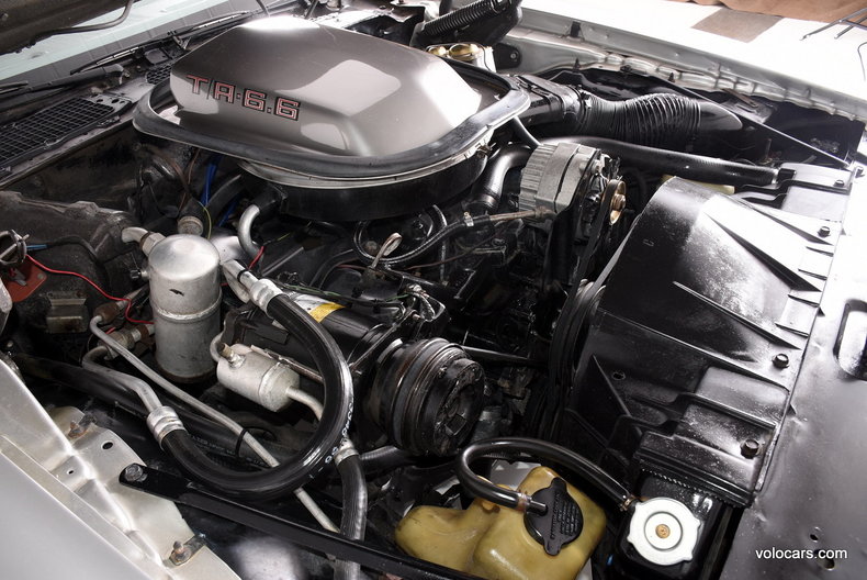 1979 Pontiac Trans Am