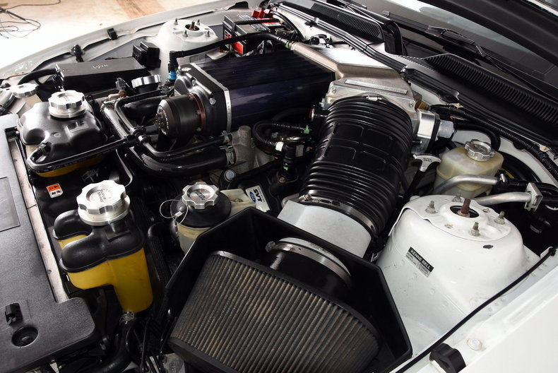 2007 Ford Shelby